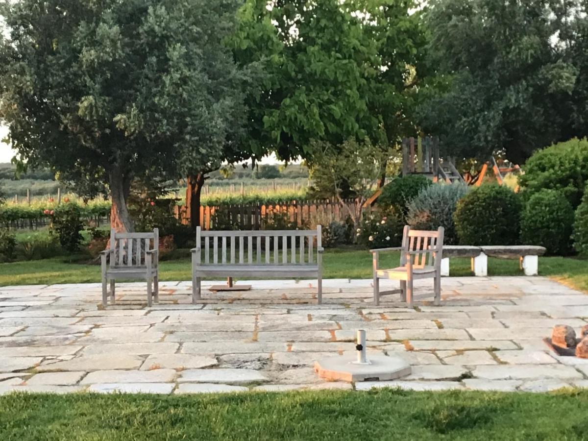Monte Da Boavista - Country Family House Βίλα Alter do Chão Εξωτερικό φωτογραφία
