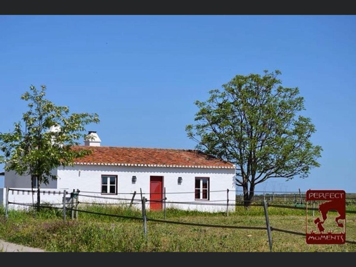 Monte Da Boavista - Country Family House Βίλα Alter do Chão Εξωτερικό φωτογραφία