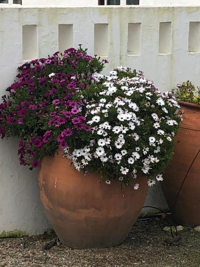 Monte Da Boavista - Country Family House Βίλα Alter do Chão Εξωτερικό φωτογραφία