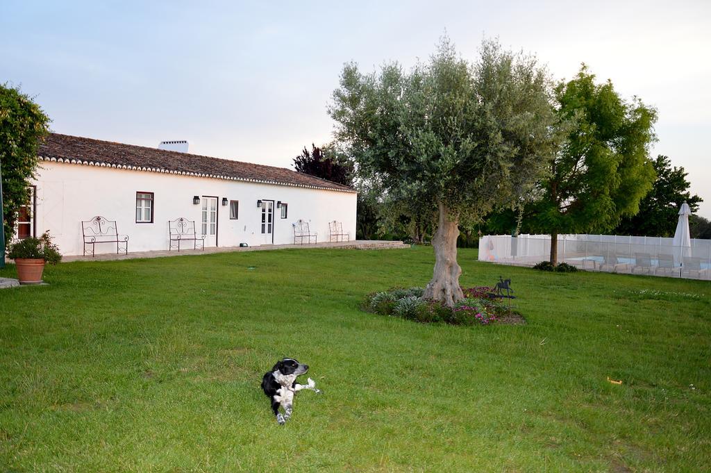 Monte Da Boavista - Country Family House Βίλα Alter do Chão Εξωτερικό φωτογραφία