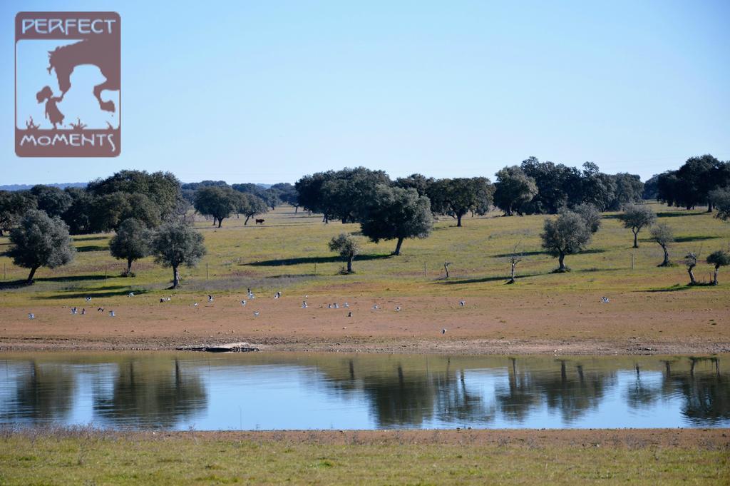 Monte Da Boavista - Country Family House Βίλα Alter do Chão Εξωτερικό φωτογραφία